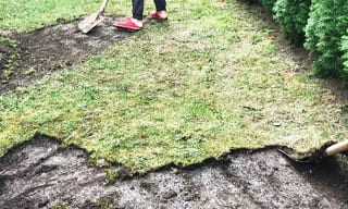 Снятие дерна старого газона в Богородицке – от 529 руб. | 2Землекопа-Бгд
